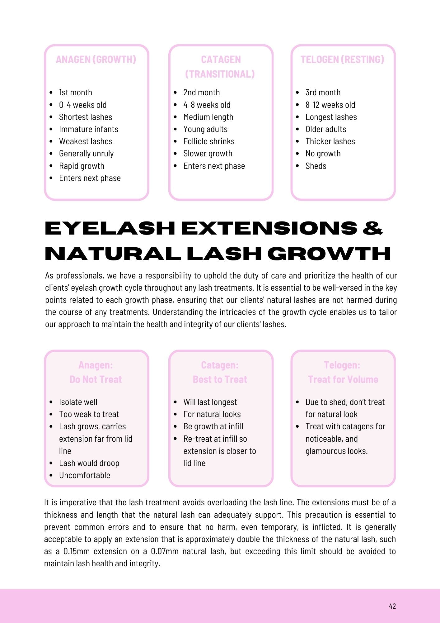 LEARN HOW TO LASH | Beginners Guide to Lash Extensions E-BOOK