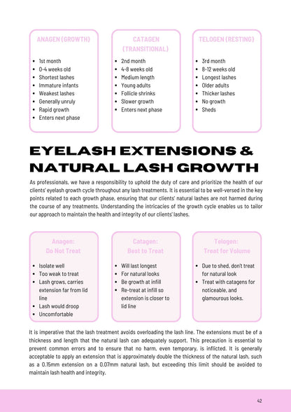 LEARN HOW TO LASH | Beginners Guide to Lash Extensions E-BOOK